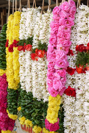 Garland for Pongal festivities