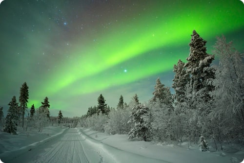 Lapland Tour Northern Lights